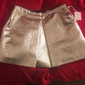 🌟SHIMMER & SHINE🌟